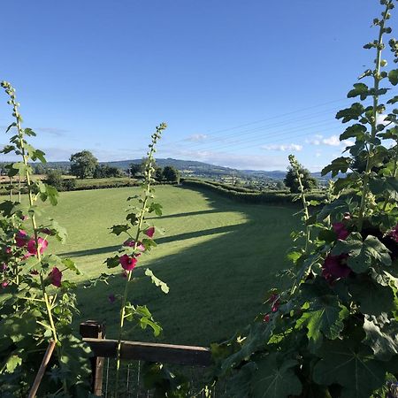 Betula Views Studio Newent Екстериор снимка