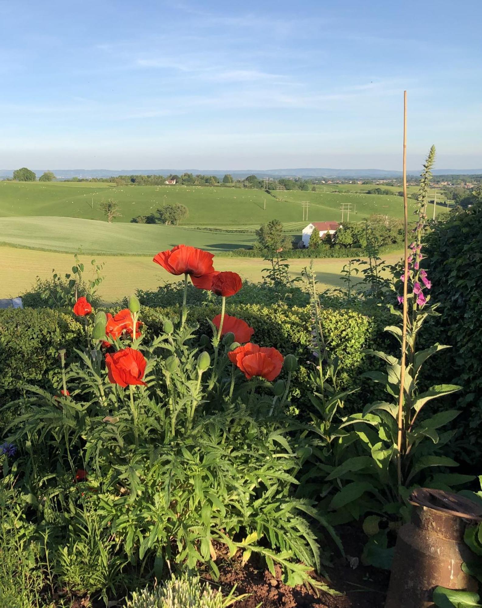 Betula Views Studio Newent Екстериор снимка