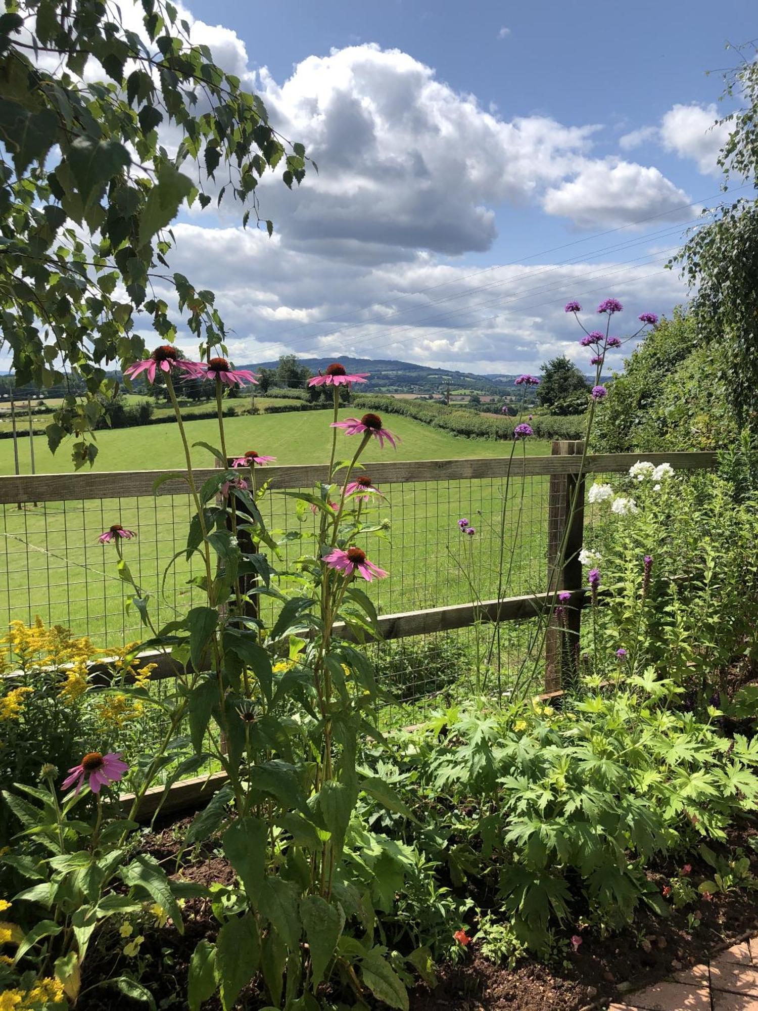 Betula Views Studio Newent Екстериор снимка