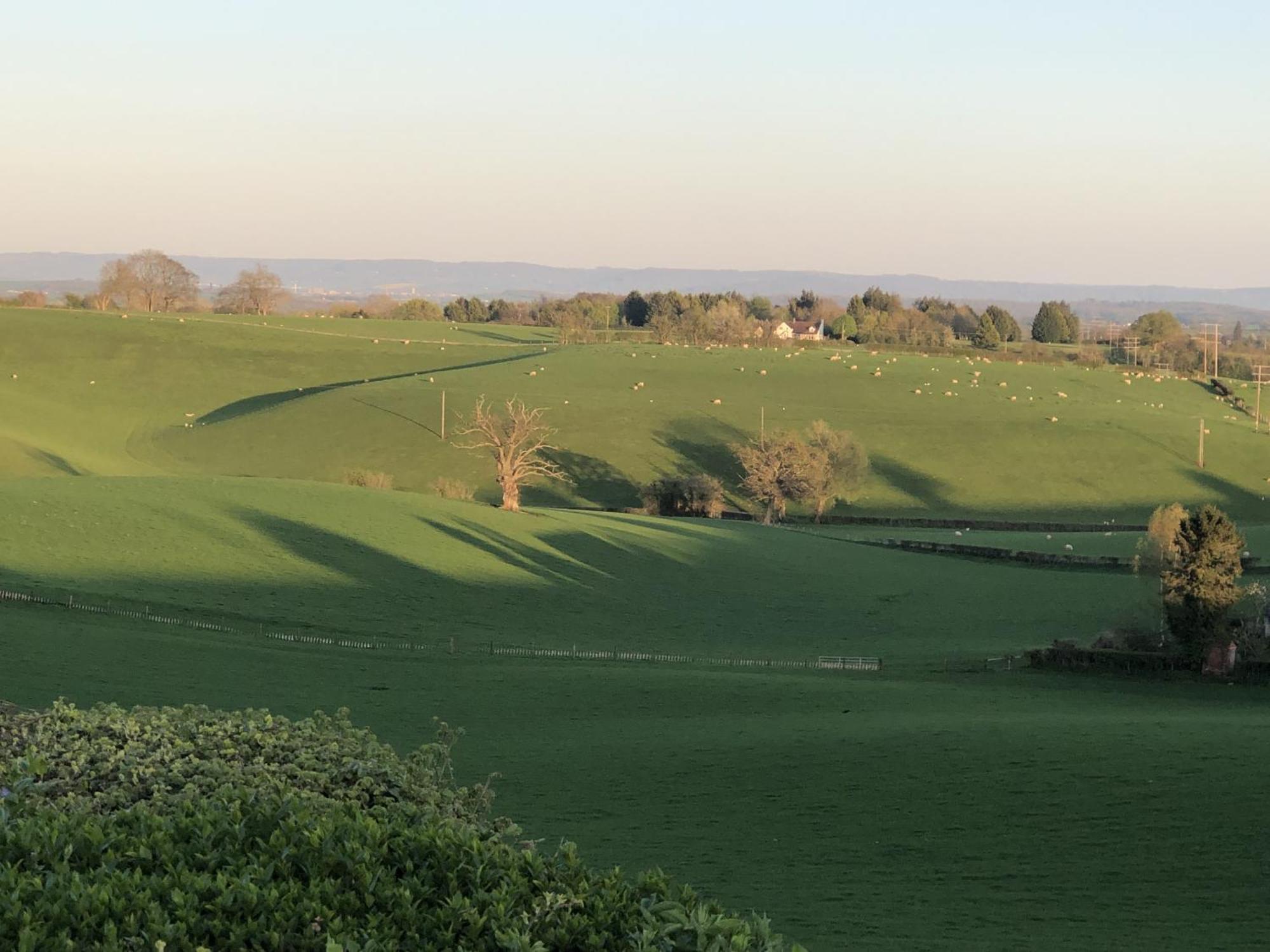 Betula Views Studio Newent Екстериор снимка