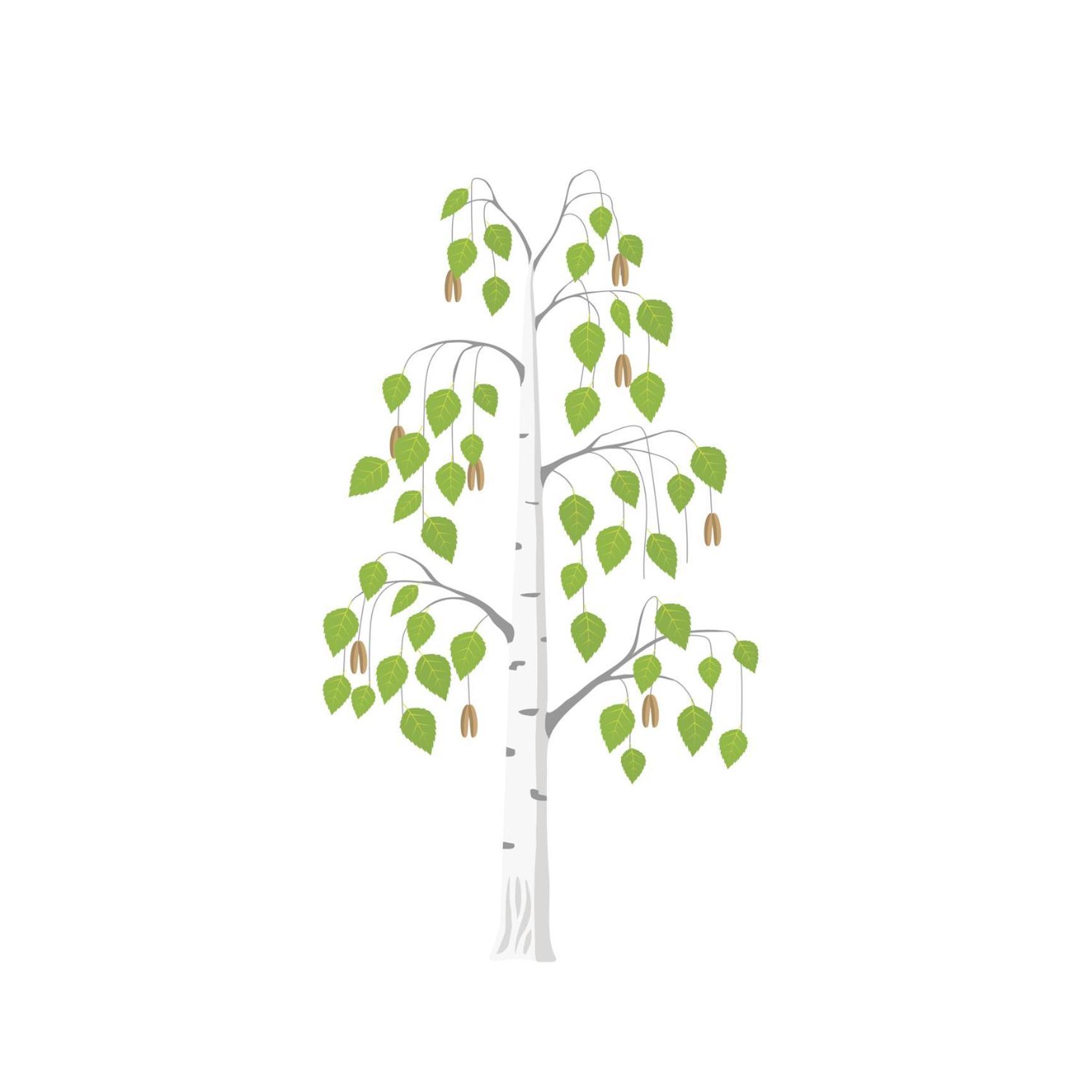 Betula Views Studio Newent Екстериор снимка