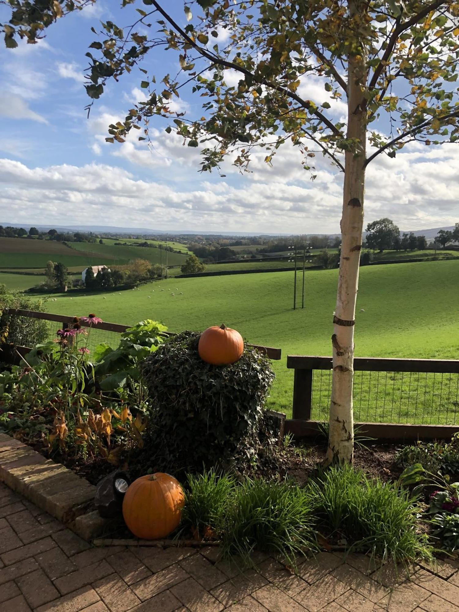 Betula Views Studio Newent Екстериор снимка